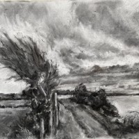 “Windswept hawthorn and field edge, Strangford Lough” Charcoal on paper , 61cm x 86cm 