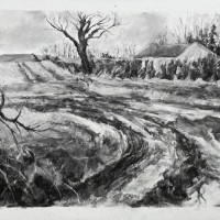 “Field tracks,Ballywallon” Charcoal on Fabriano paper 77cm x 56cm